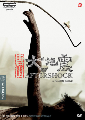 Locandina del film Aftershock