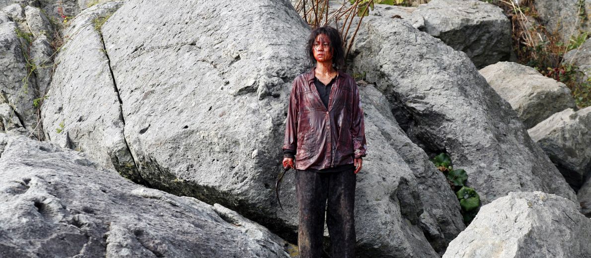 Immagine di copertina