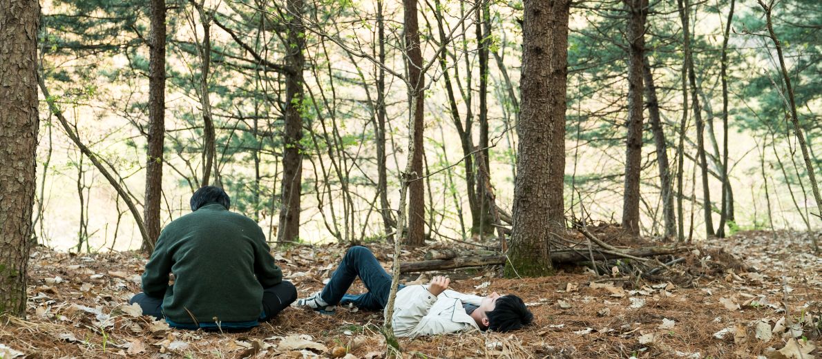 Immagine di copertina