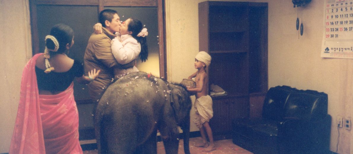 Immagine di copertina